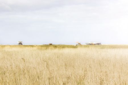 St. Peter Ording