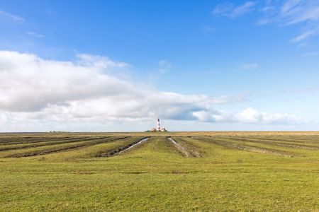 Westerhever