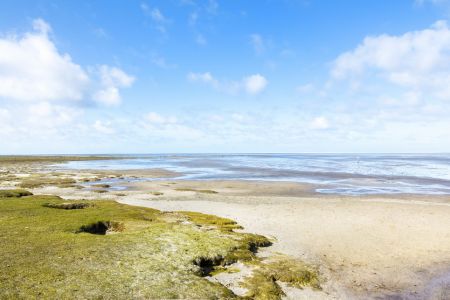 Westerhever