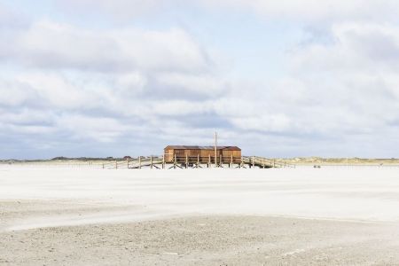 Nackhörn, St. Peter Ording
