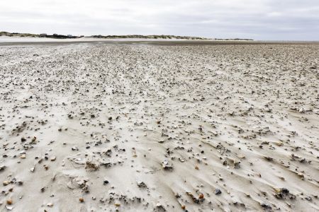 St. Peter Ording