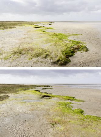 Böhler Strand, St. Peter Ording