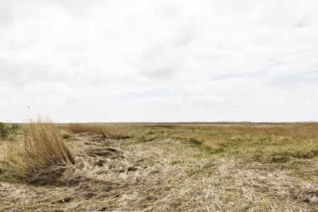 St. Peter Ording