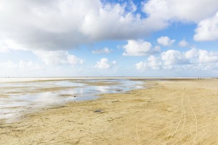 Nackhörn, St. Peter Ording